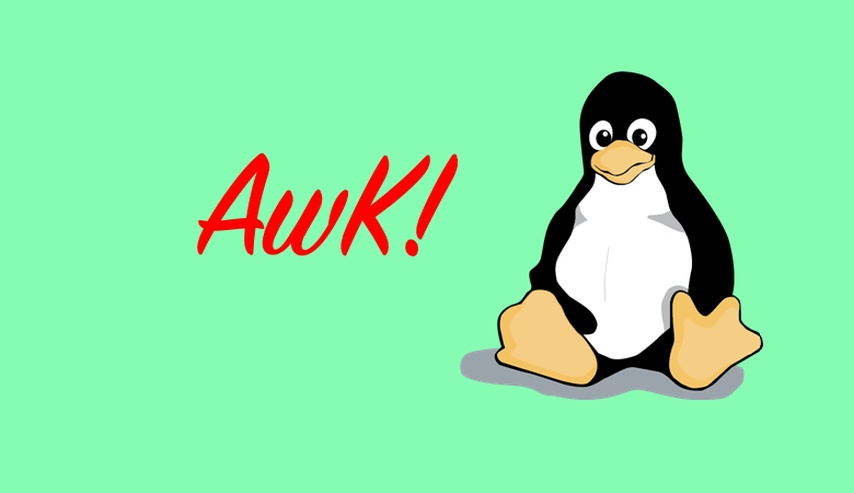 Awk Shell Scripting de novato a experto