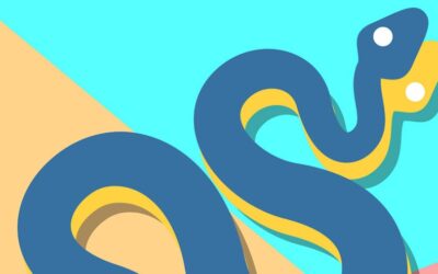 Programación Python para Hacking Ético – Paso a Paso