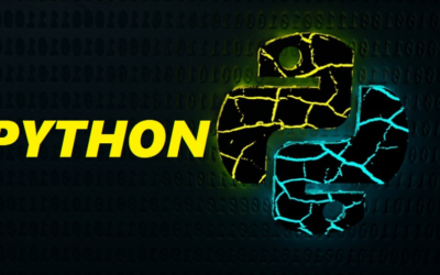 Python Full Stack Senior Developer