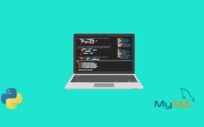 Professional Python Front end and Database