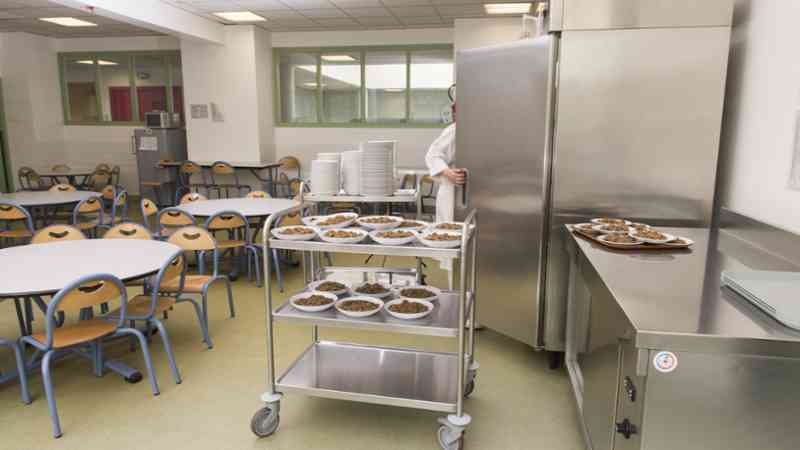 Curso gratuito Técnico Profesional en Alimentación Materno-Infantil (Online)