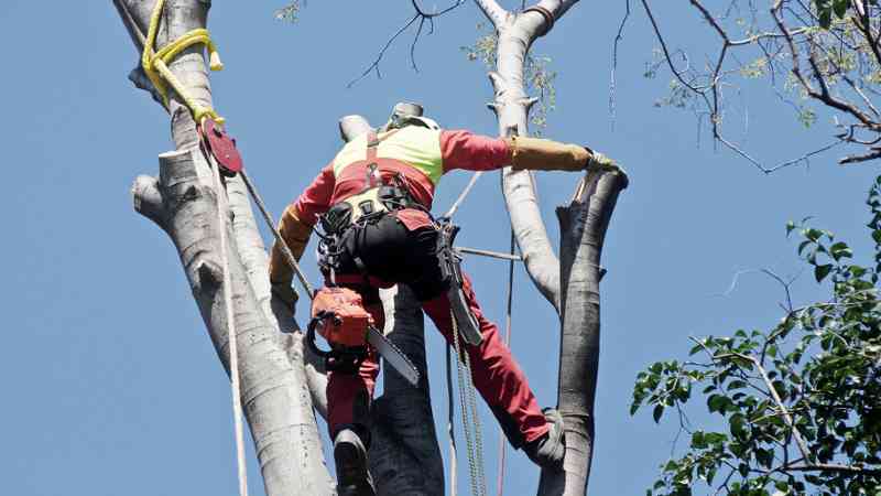 Curso gratuito Técnico en Prevención de Riesgos Laborales y Medioambientales para Responsables de Obra y Técnicos de Ejecución (Online)