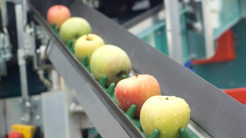Curso gratuito Recolección, Transporte, Almacenamiento y Acondicionamiento de la Fruta