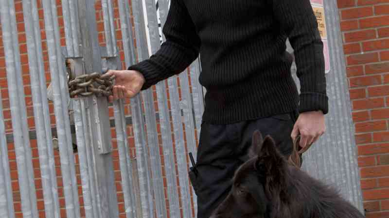 Curso Gratuito UF2740 Adiestramiento de Perros en Operaciones de Rastreo de Personas y/o Indicios Personales, sobre una Pista Olorosa o Sucesión de Huellas e Indicios Prefijada (Online)