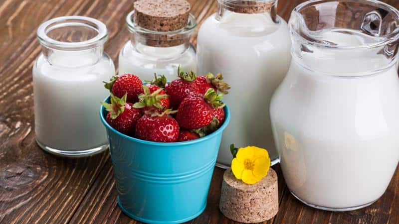 Curso gratuito Recepción, Almacenamiento y Tratamientos Previos de la Leche
