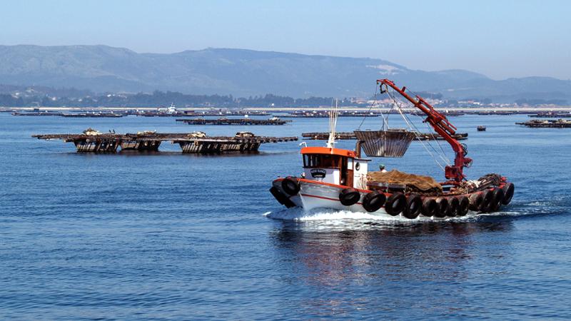 Curso gratuito Recepción, Almacenaje y Expedición de Productos de la Pesca