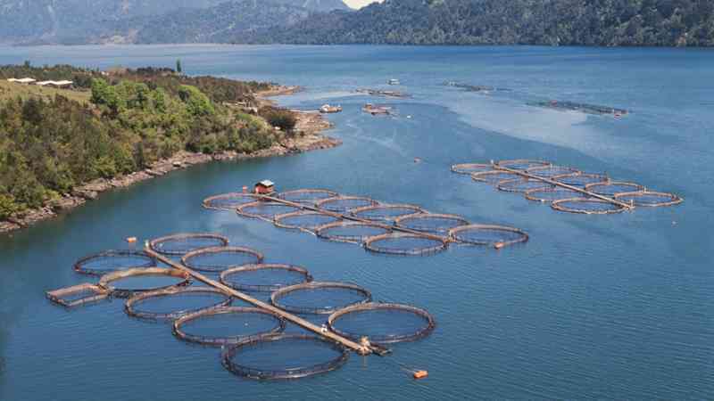 Curso gratuito Recepción, Almacenaje y Expedición de Productos de la Pesca (Online)