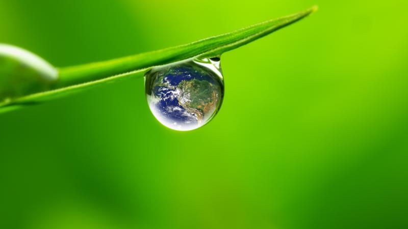 Curso gratuito Puesta en Marcha de Sistema de Gestión Ambiental (SGA)