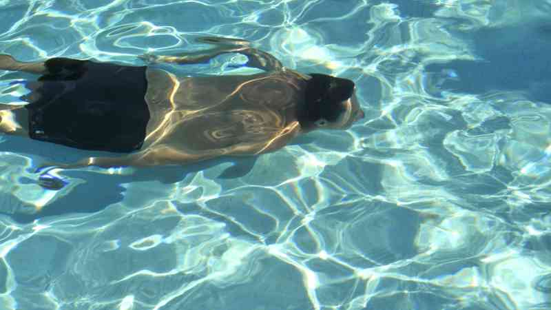 Curso gratuito Programación de Actividades de Natación (Online)