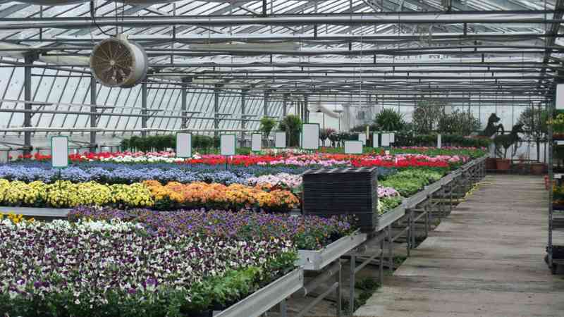 Curso gratuito Servicios Básicos de Floristería y Atención al Público (Online)