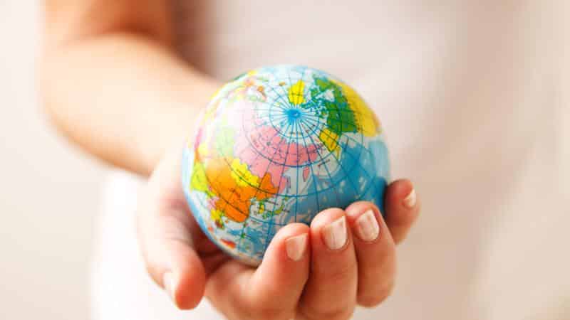Curso gratuito Servicios para el Control de Plagas (Dirigida a la Acreditación de las Competencias Profesionales R.D. 1224/2009)