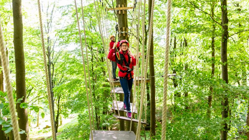 Curso gratuito Talleres y Actividades Culturales con Fines de Animación Turística y Recreativa