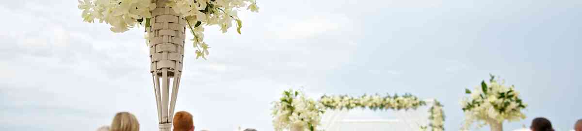 Tecnico-Gestion-Eventos-Wedding-Planner