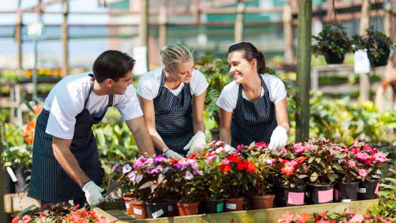 Curso gratuito Técnico en Prevención de Riesgos Laborales en Agricultura y Jardinería (Online)