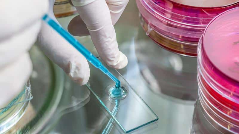 Curso gratuito Técnicas Bioquímicas de Análisis