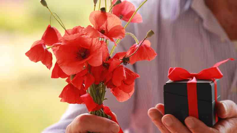 Curso gratuito Siembra y Trasplante de Cultivos Hortícolas y Flor Cortada (Online)