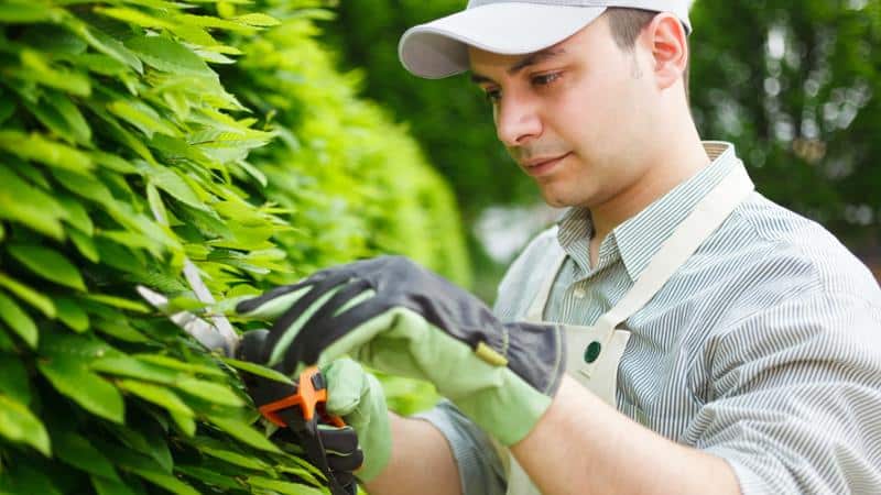 Curso gratuito Realización de Trabajos de Agrimensura, Nivelación Simple y Replanteo