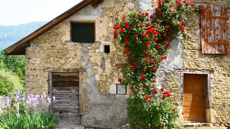 Curso gratuito Proyecto de Implantación del Alojamiento Rural