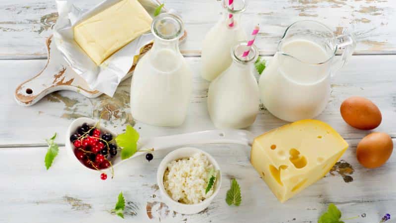 Curso gratuito Tratamientos Previos de la Leche